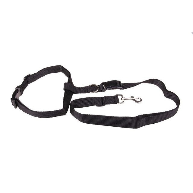 Traction Pulling Leash