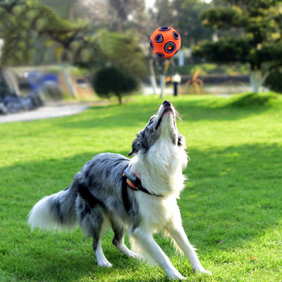 Noisy Interactive Balls