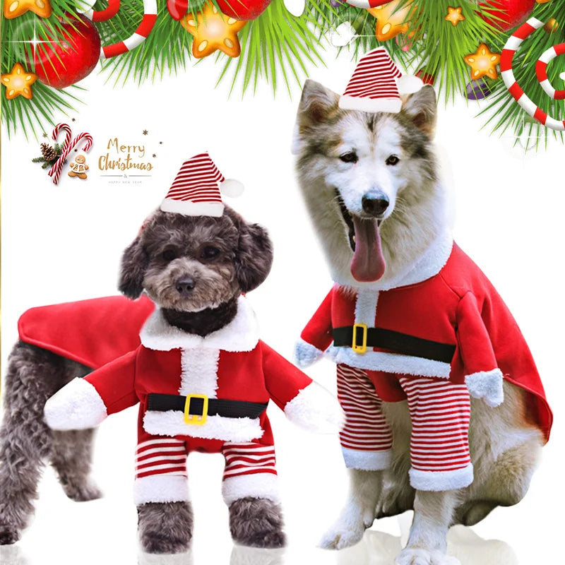 Christmas Costumes for pets