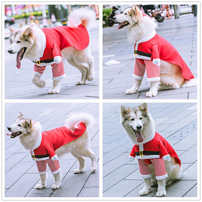 Christmas Costumes for pets